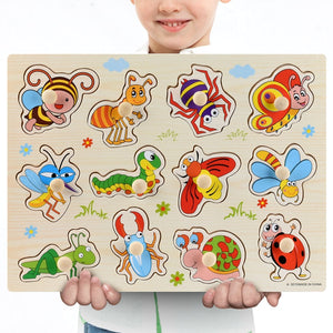 Educational Puzzles Toy